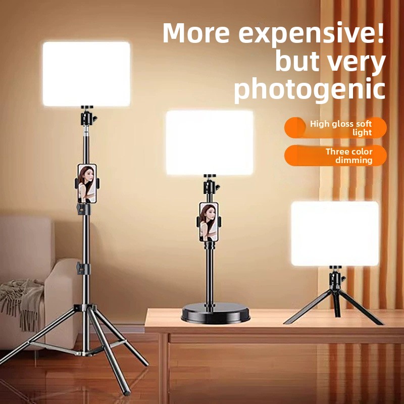 Photography Lighting Professional - Lighting Professional Shooting Live Photography Special