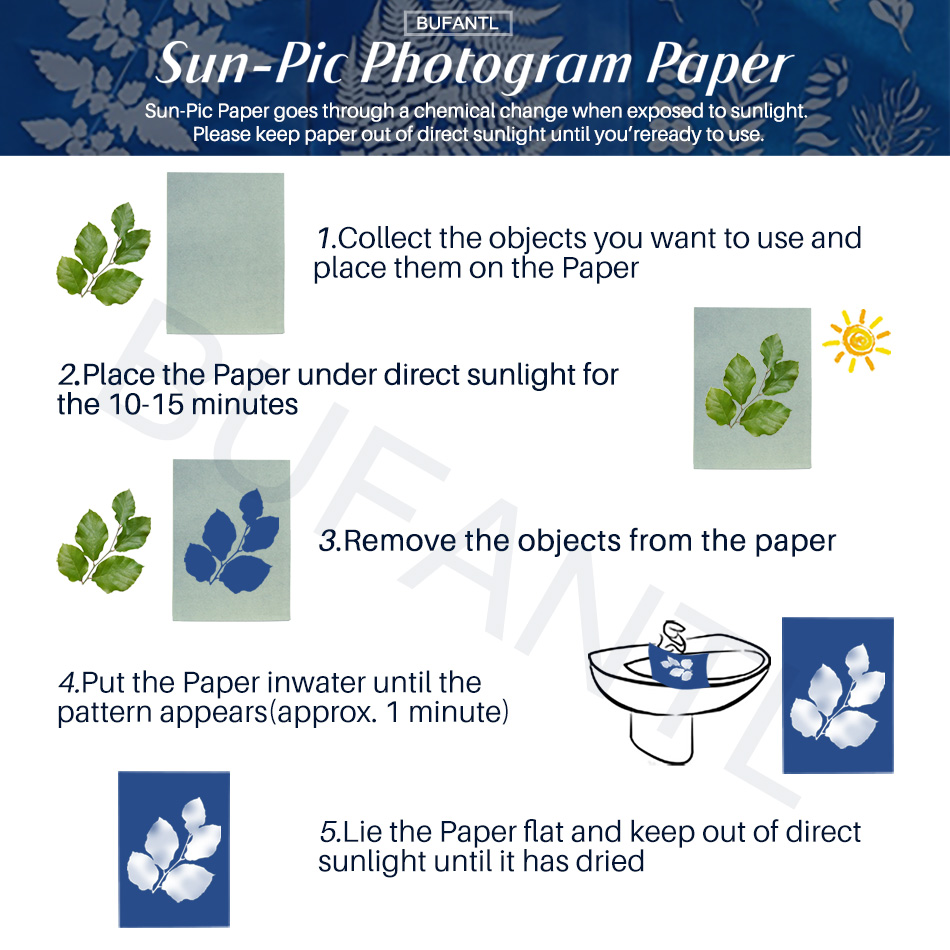 Cyanotype Paper 12 Sheets Refi - Photography Lighting For Beginners avis et prix