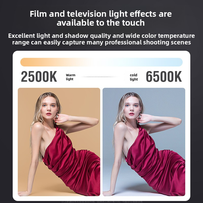 ZU80 High-Power COB Fill Light - Photography Lighting Lamp avis et prix