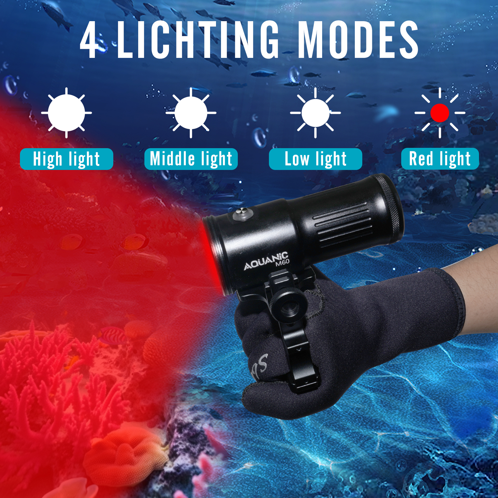 Nitescuba professional diving  - Photography Lighting Professional avis et prix